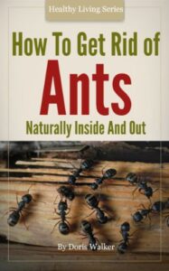 How To Get Rid Of Ants