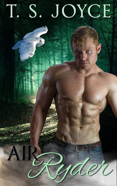 Air Ryder (Harper’s Mountains Book 3)